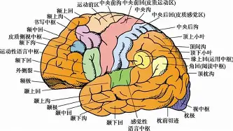万博max网页版-关于上海久事窗口期强势反弹洛杉矶快船豪取连胜备战中超，窗口期罗马备战意甲都惊呆了的信息